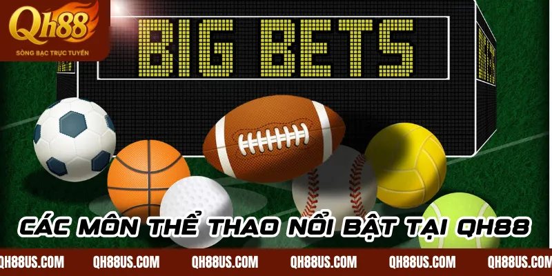 Các Môn Thể Thao Nổi Bật Tại QH88